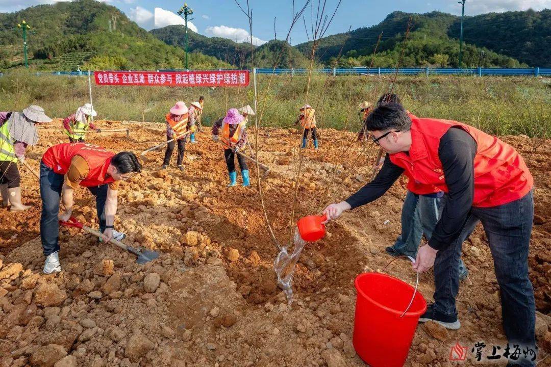 gogo体育干群凝心聚“绿”梅州各地掀起植树造林热潮！(图1)