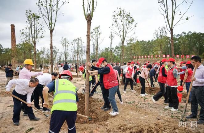 gogo体育广东乡村绿化已种植苗木371万株(图2)