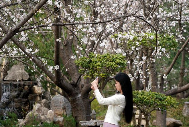 春花邂逅古建花都gogo体育“种花人”的中式浪漫(图1)