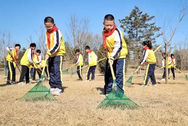 时政微观察丨增厚“绿色家底gogo体育”提出新要求(图3)