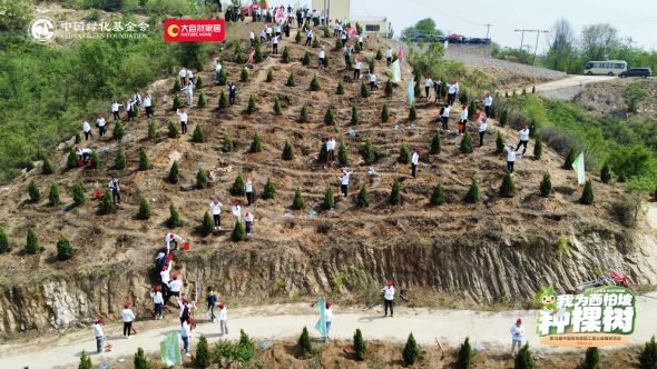 植绿增绿护绿让中国更美丽——中国绿化基金gogo体育会开展世界地球日系列主题公益宣传活动(图1)